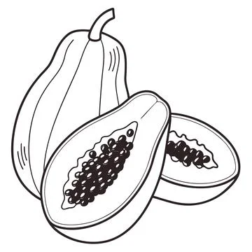 Papaya Fruit Icon Outline Vector on White Background Stock Illustration