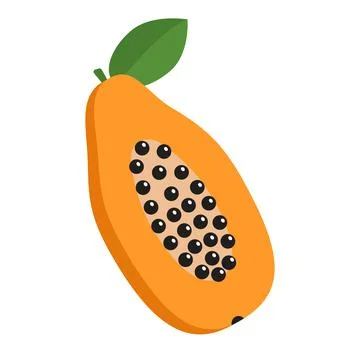 Papaya fruit isolated on white background Stock Illustration