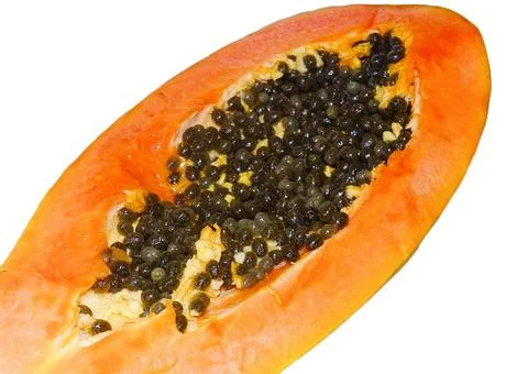 Papaya fruit isolated on white background Фото