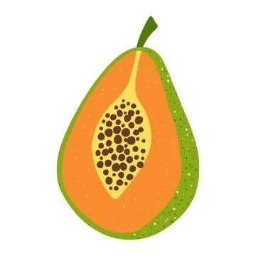 Papaya fruit trendy vector illustration juicy abstract tropical childlike hand Stock Illustration