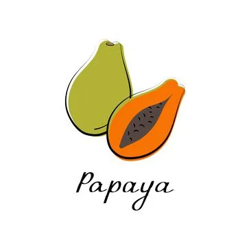 Papaya icon. Hand drawn vector isolated food icon. Illustration of tropical Stock Illustration