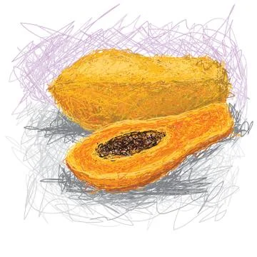 Papaya Stock Illustration