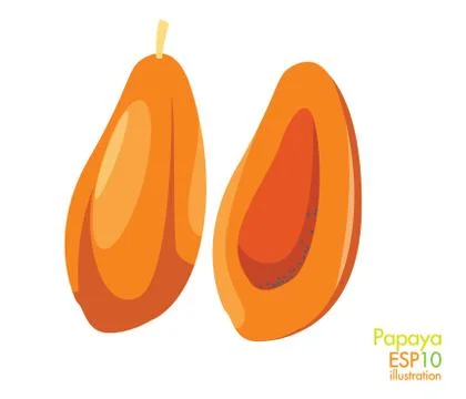 Papaya Illustrazione stock