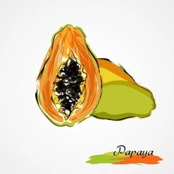 Papaya Illustrazione stock