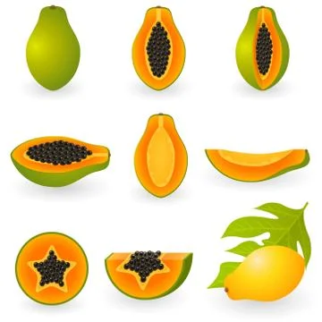 Papaya Stock Illustration