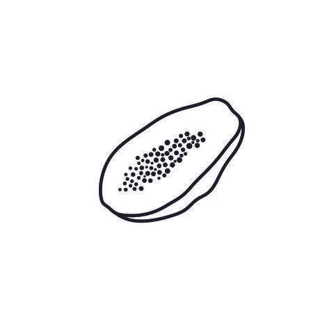 Papaya Stock Illustration