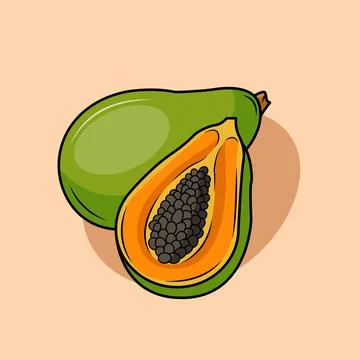Papaya Stock Illustration