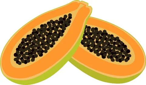 Papaya Illustrazione stock