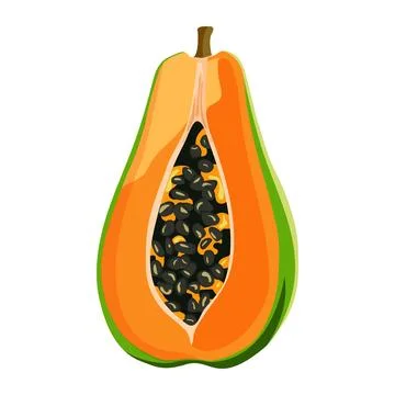 Papaya Stock Illustration