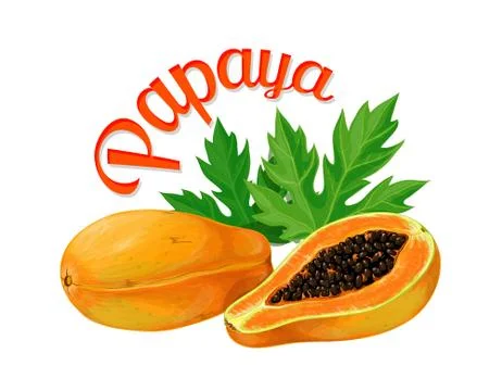 Papaya. Isolated objects on a white background Stock Illustration