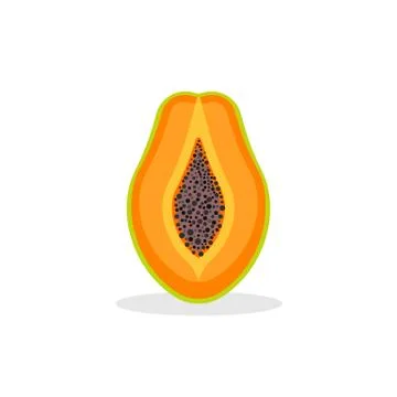 Papaya isolated on white background. Vector illustration. Illustrazione stock