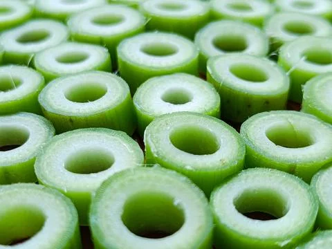 Papaya Leaf Stems Sliced Into Circular Pieces Stock Photos