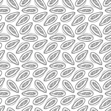 Papaya outline seamless pattern on white background. Stock Illustration