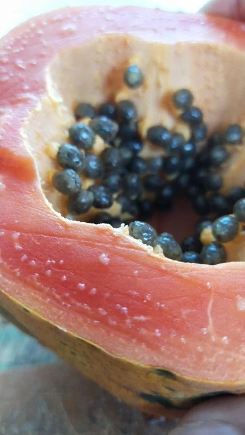 Papaya seeds vertical position Video stock 153256608