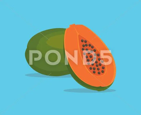 Papaya single isolated object with vector graphic Stock Illustration