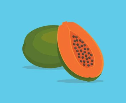 Papaya single isolated object with vector graphic Stock Illustration