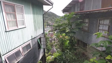 Papaya tree between two houses in Banaue, Luzon, Philippines Vídeos de archivo 145532918