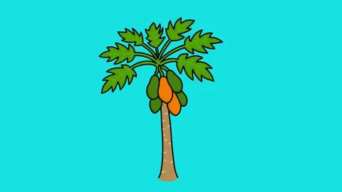 The papaya tree swayed back and forth Stock Footage 329203794