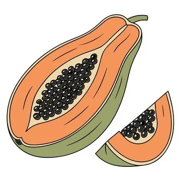 Papaya Vector Illustration Simple Flat Tropical F vector illustration design  Stock Illustration
