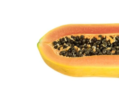 Papaya on white background Stock Photos