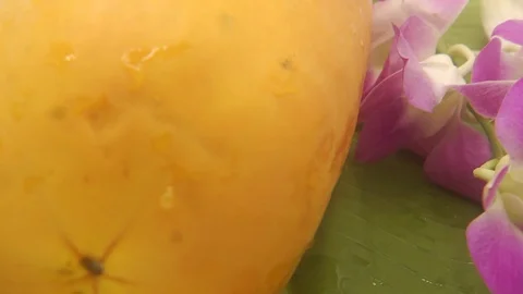 Papaya on white background rotating with blender and papaya smoothie Stock Footage 118772994