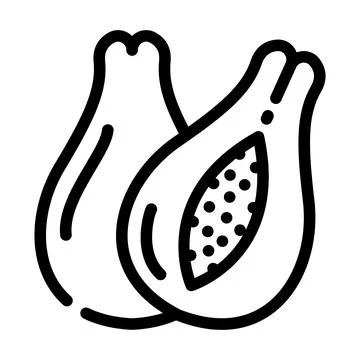 Papayas fruit line icon vector illustration Stock Illustration