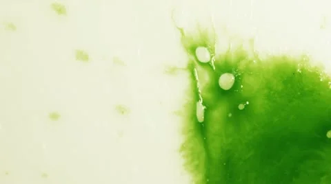 Paper absorbs ink paint. Macro. Stock Footage