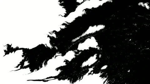 Paper absorbs ink paint. Macro. Stock Footage 20634688
