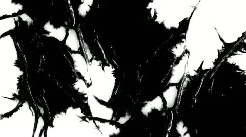 Paper absorbs ink paint. Macro. Stock Footage