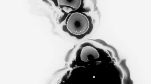 Paper absorbs ink paint. Macro. Stock Footage 84361678