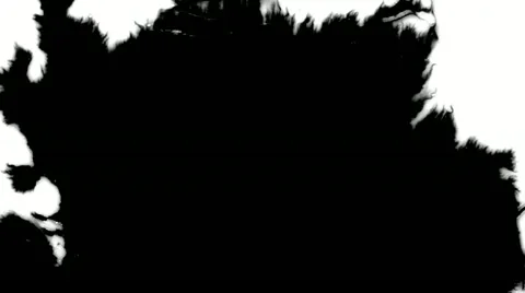 Paper absorbs ink paint. Sequence. Stock Footage 21232019