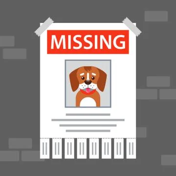 Paper ad on the wall about the missing dog. Stock Illustration
