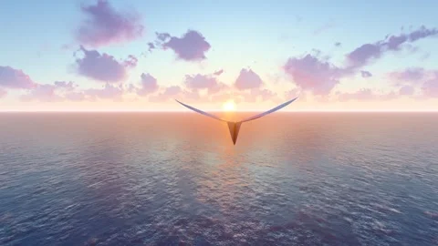 Paper airplane chasing the setting sun at sunset Stock Footage 288282787