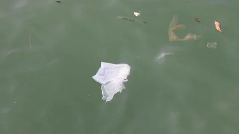 Paper and plastic rubbish floating in Victoria harbour, Hong Kong, (contamina Stock Footage 137518366