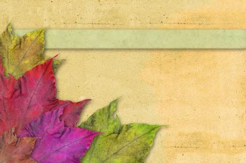 Paper background with leaves Stock Illustration