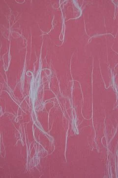 Paper as a background texture. Stock Photos