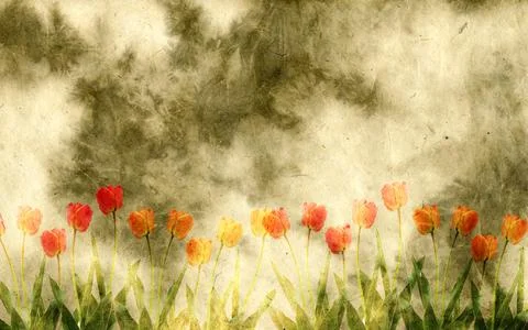 Paper background with tulips Stock Photos