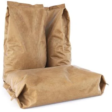 Paper bag Ilustração Stock