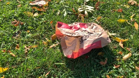 Paper bag from the KFC is lying in the park on the grass 動画素材 116184932