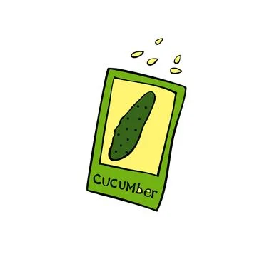 Paper bag with seeds cucumber. Vector hand drawn outline colorful illustrat.. Stock Illustration