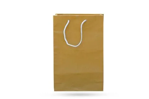 Paper bags. Stock Photos