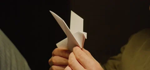 Paper bird in hands, evening Stock Footage 201143638