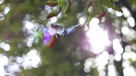 Paper Bird on the Tree Stock Footage 55789989