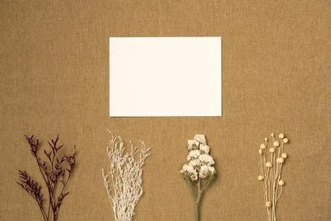 Paper blank sheet with different dried flowers on fabric background from abov Stock Photos