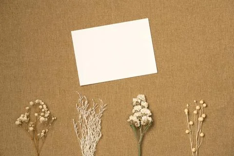 Paper blank sheet with different dried flowers on fabric background from abov Stock Photos