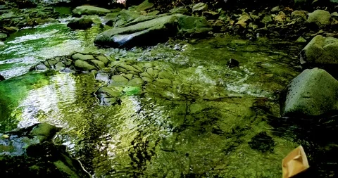 Paper boat floating on the river Stock Footage 114026892