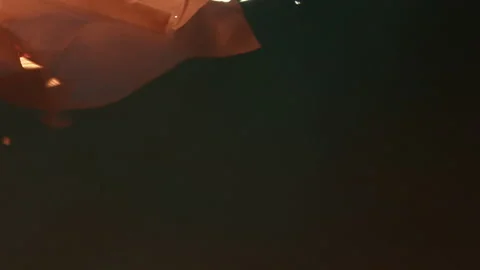 Paper boats Video stock 235380877