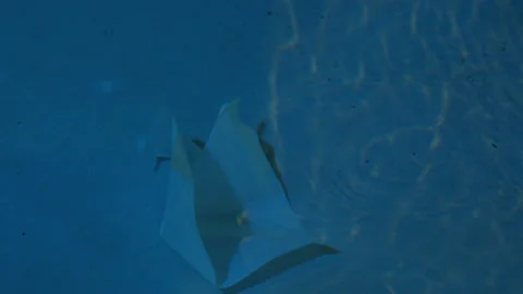 Paper boats 스톡 동영상 235381142