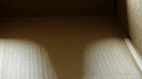 Paper  box Stock Footage 10825799