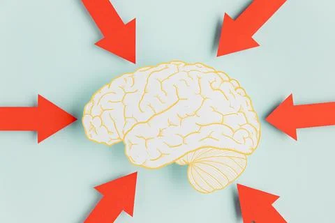 Paper brain with arrows Stock Photos